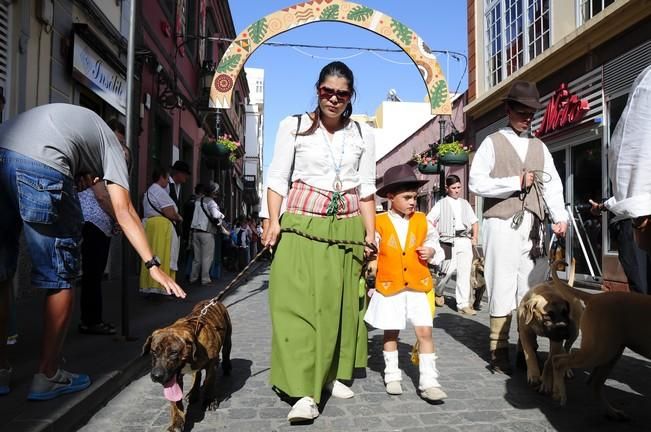 Romería de Santiago de Gáldar 2016