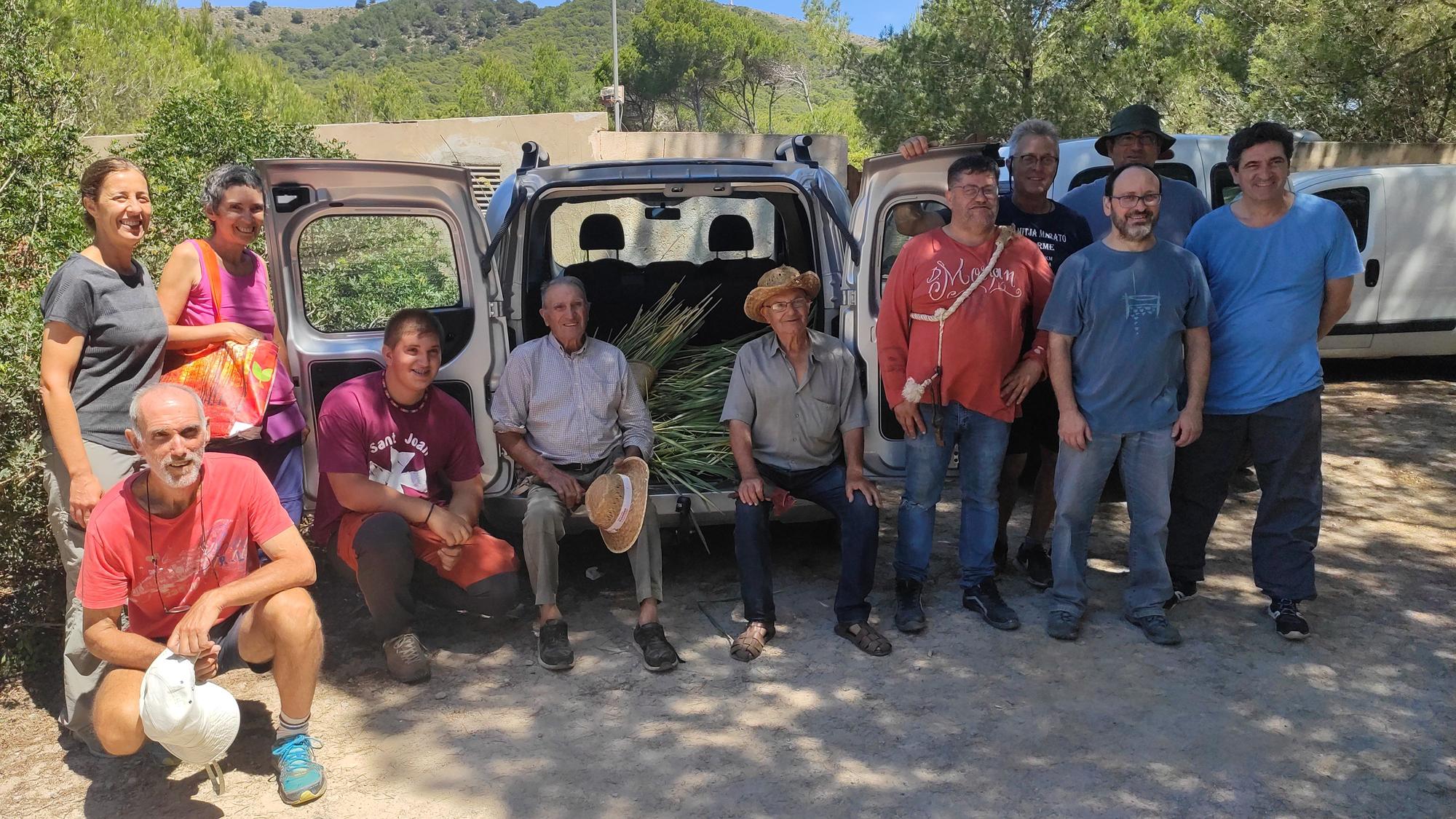 Capdepera recolecta 100 kilos de palmito para las 'Madones de la llata'