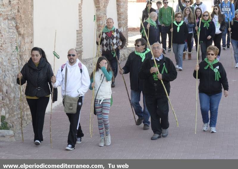 GALERÍA DE FOTOS -  Romería Magdalena 2014 (1)