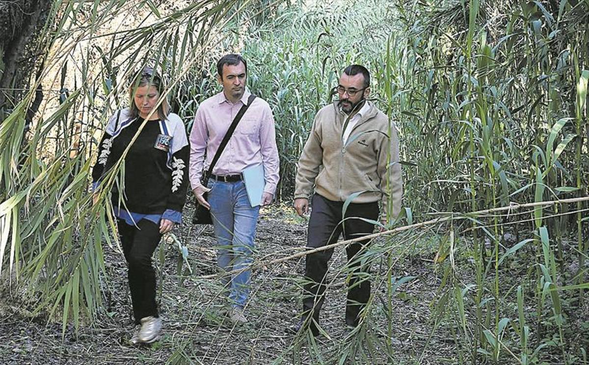 Vila-real inicia un plan para poner en valor un molino del siglo XVIII