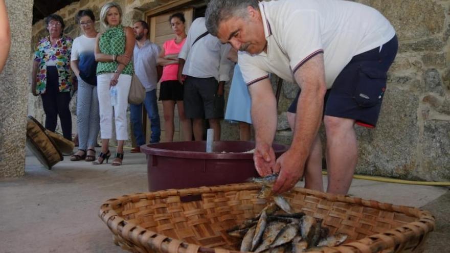 El Museo de la Salazón recibe las rutas de la Diputación y acoge una degustación de sardinas