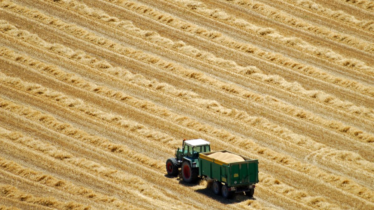 La PAC 2022 ayudará a la modernización del sector agrario catalán