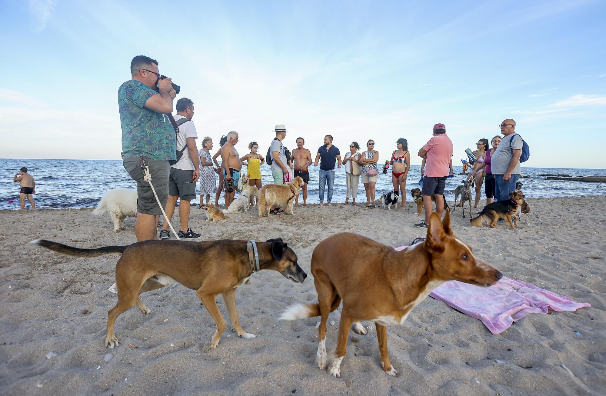 Protesta vecinal en contra del abandono del parque de perros de Aguamarga