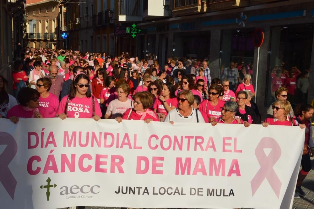 Marcha en Mula contra el cáncer de mama