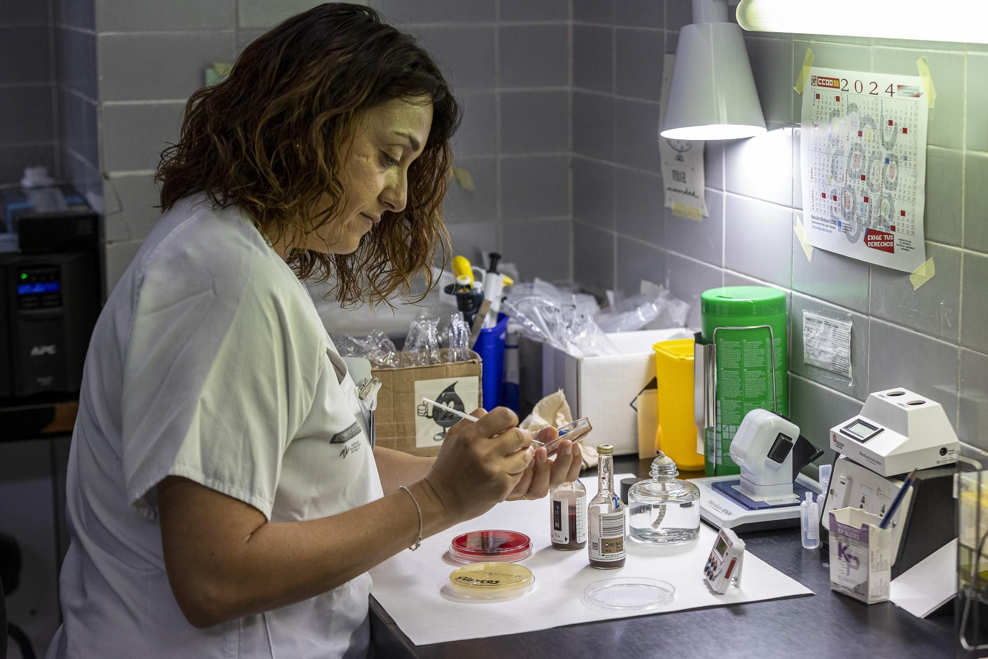 Protocolo para optimizar la respuesta rápida en código sepsis en Alicante