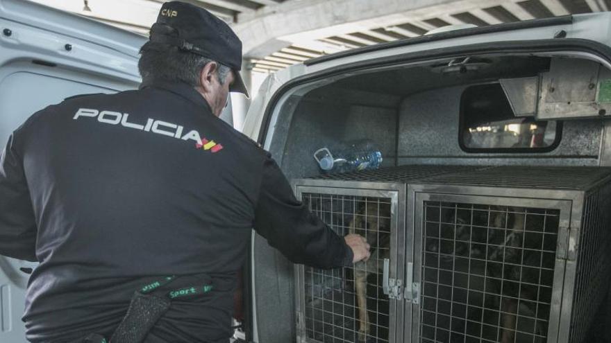 La Policía Nacional de Elche, en una imagen de archivo