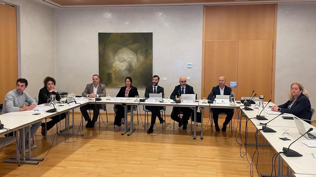 Reunión en Palma del Comité Comisión Aeroportuaria y Comisión Mixta de seguimiento de las OSP de Baleares.