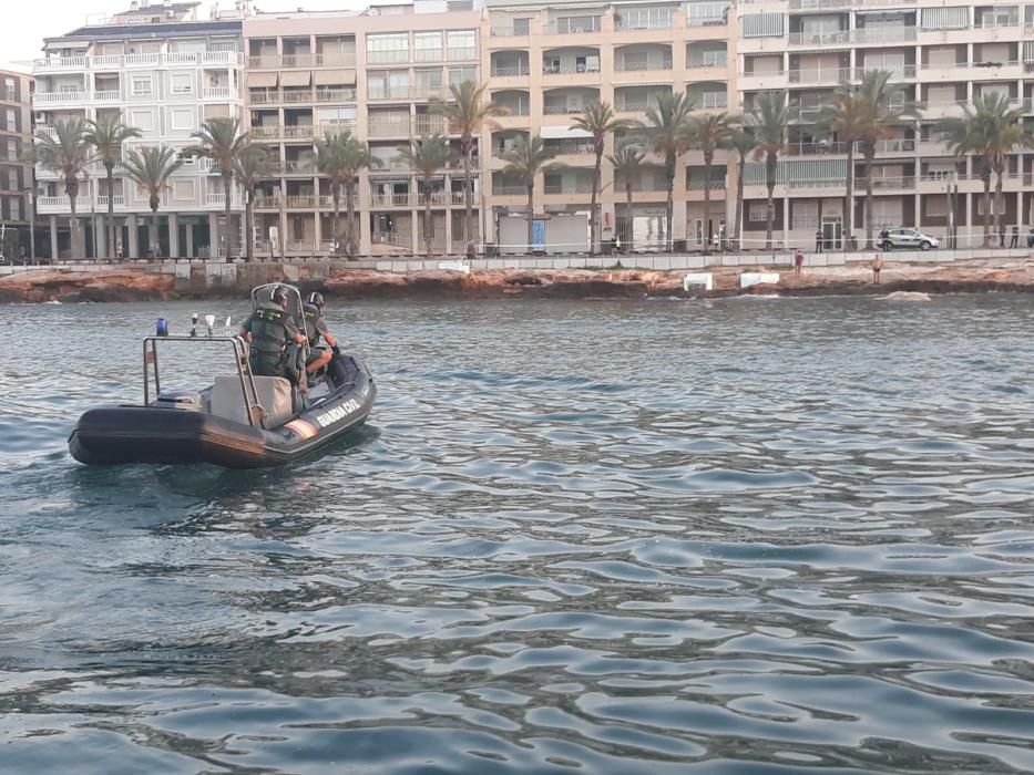 Imágenes del cachalote en descomposición que ha sido remolcado hasta el muelle de la Sal en Torrevieja