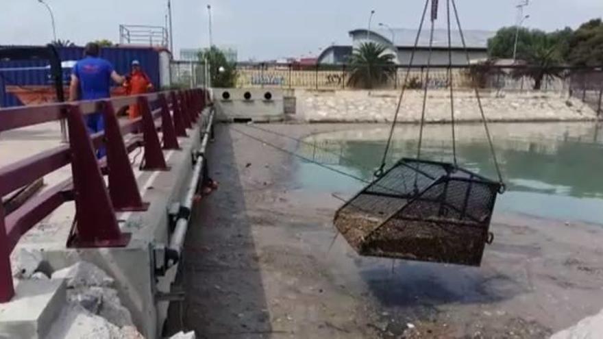 Retirada de residuos fecales del tramo final del antiguo cauce, junto al puente de Astilleros y Natzaret.