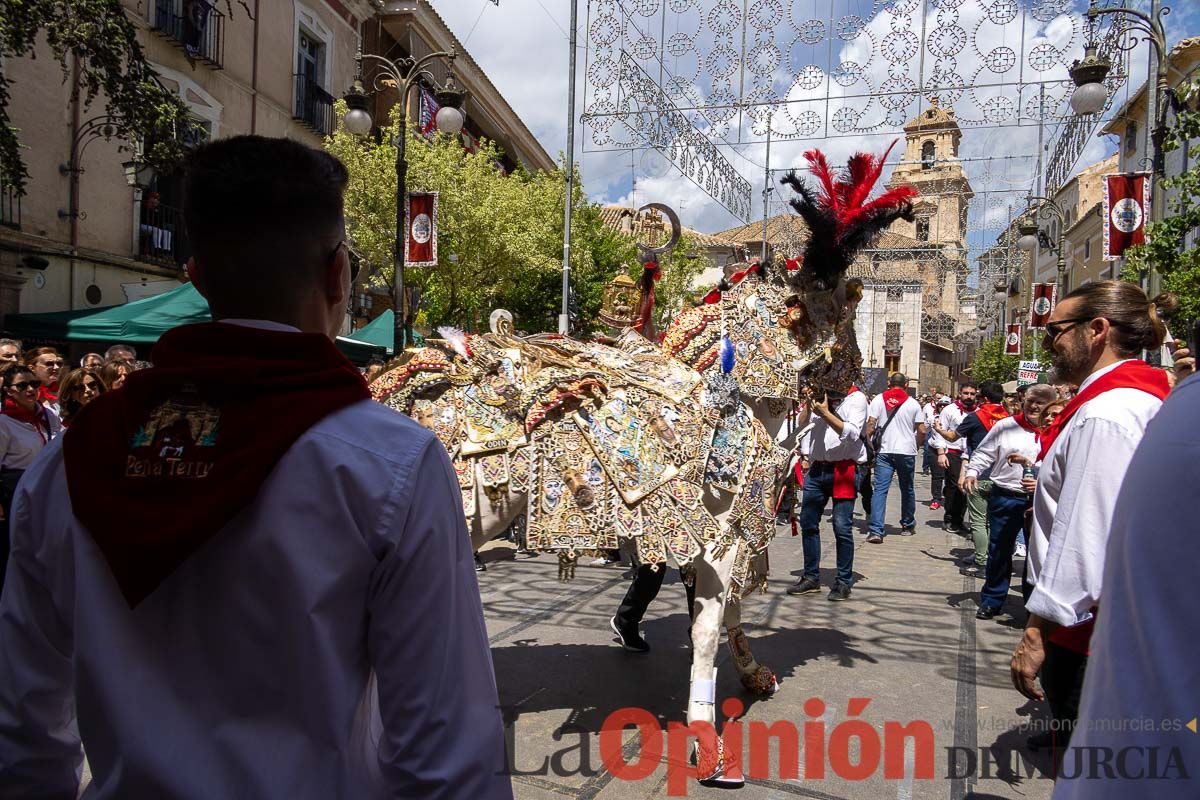 Recorrido Caballos del Vino día dos de mayo en Caravaca