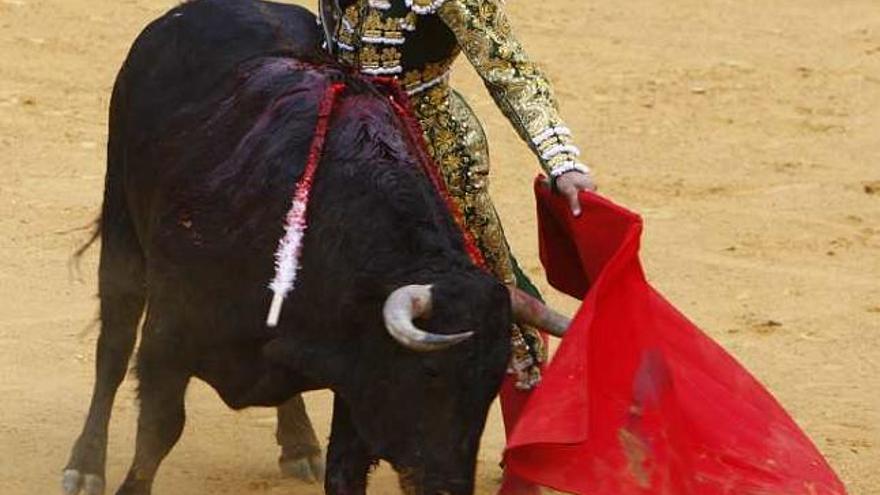 El diestro Matías Tejela, ayer en la plaza de toros de Alicante