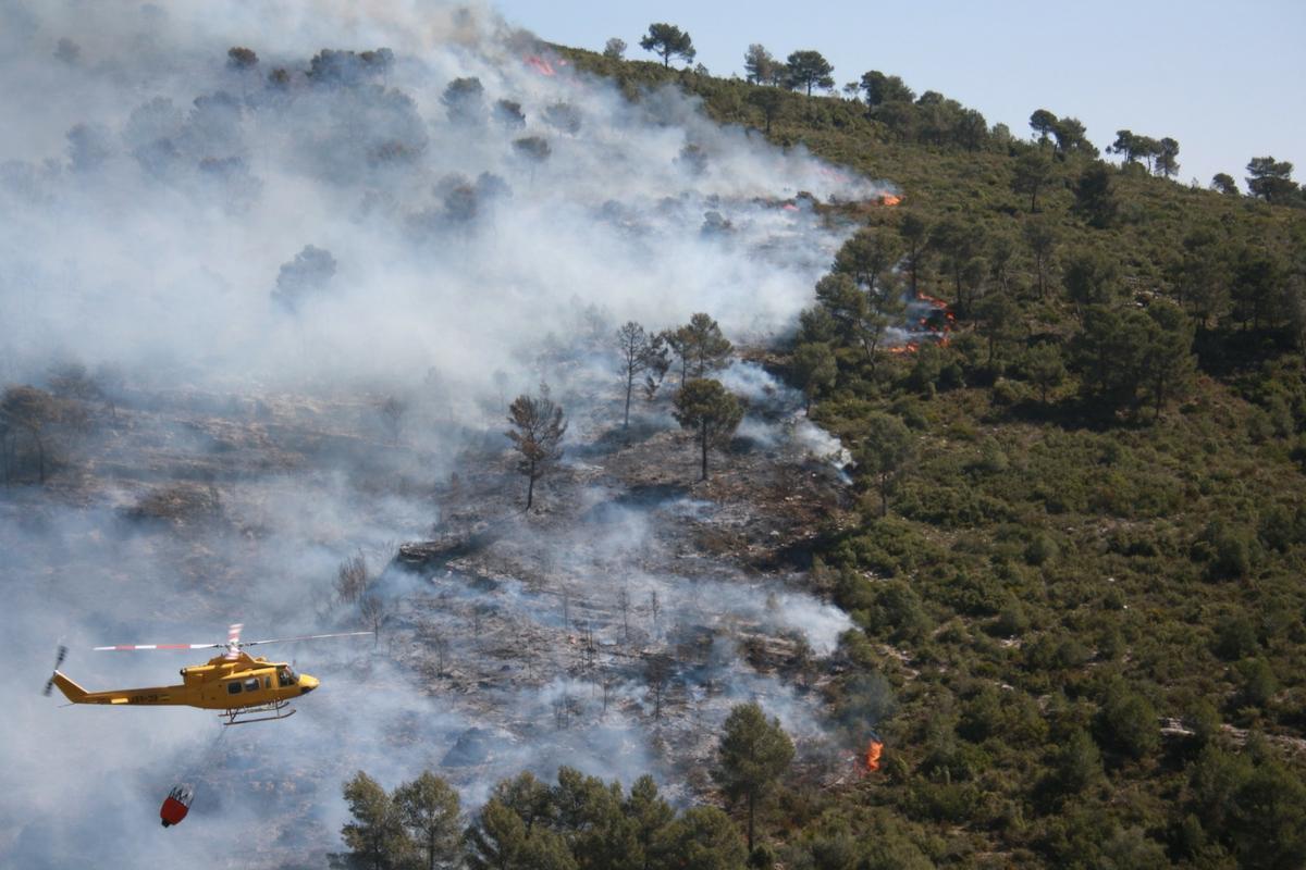 El monte de la provincia es un polvorín