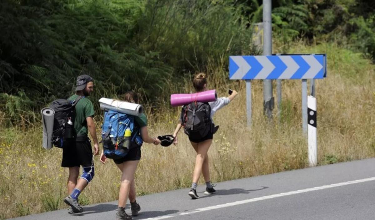 Peregrinos transitan por un tramo de la Vía de la Plata.