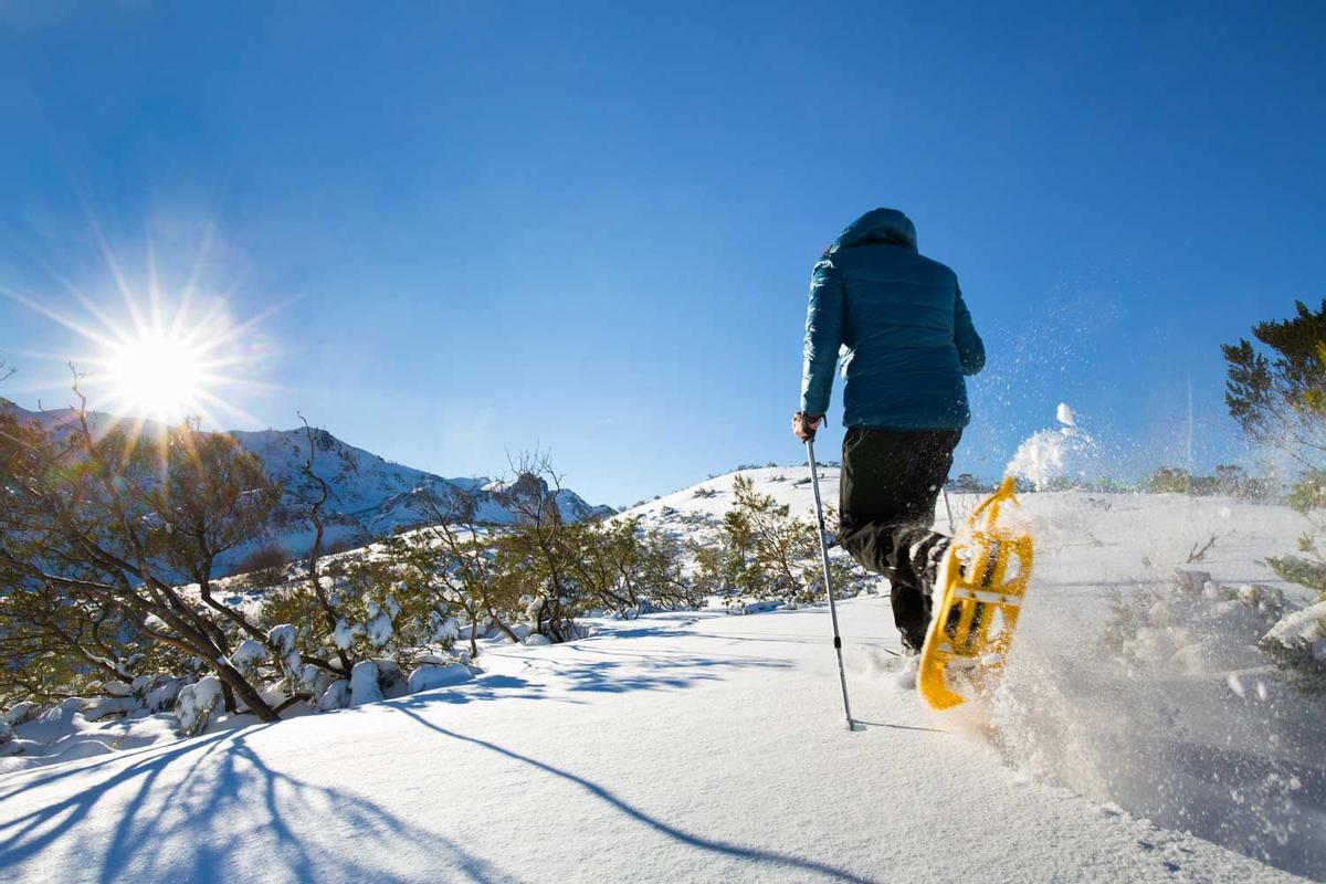 Excursión con Raquetas de Nieve