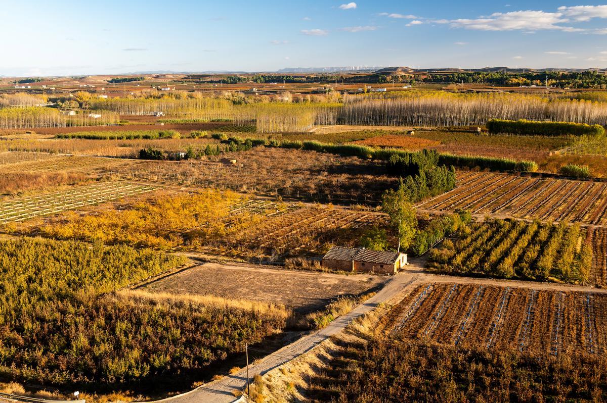 Los campos de Lleida se tiñen de ocre y dorado en otoño