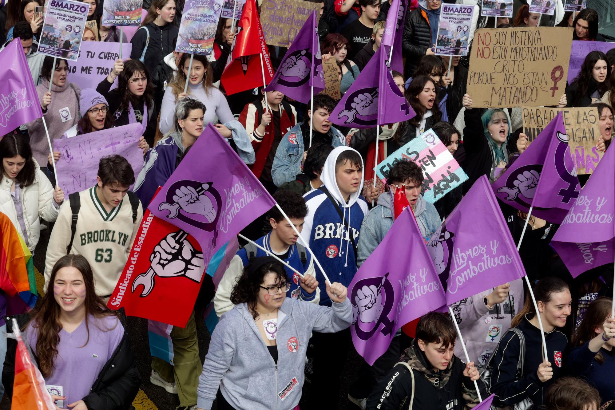 Manifestación del 8M en Oviedo