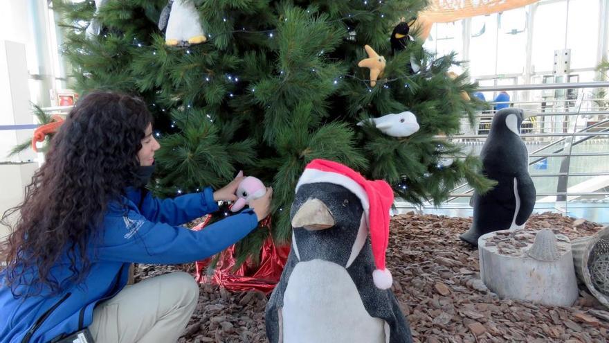 L&#039;Oceanogràfic no tanca per vacances de Nadal