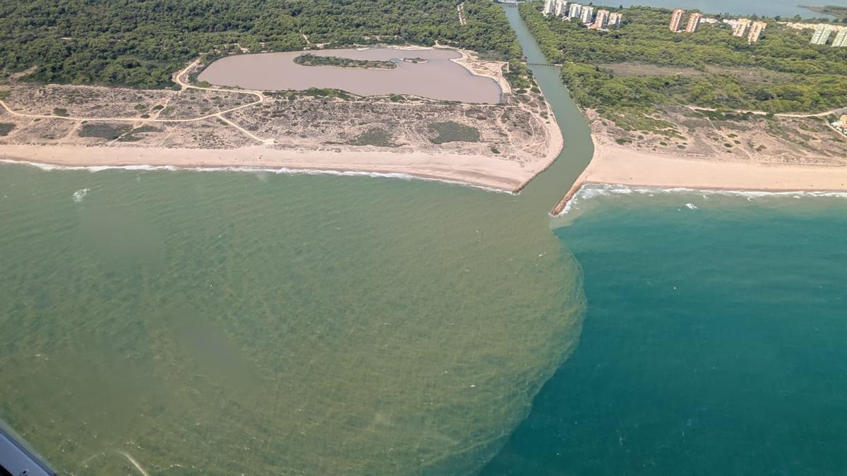 Abocaments de l'Albufera arriben a la platja del Saler: "Estem enverinant la mar"