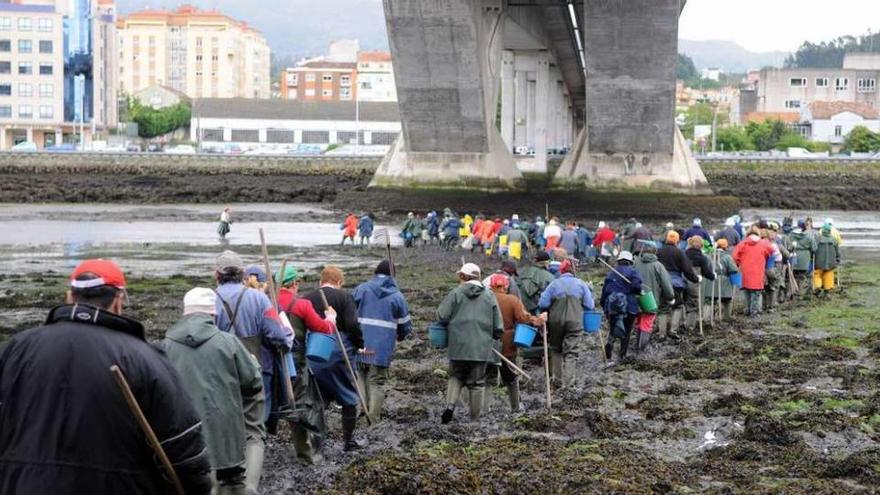 Mariscadores en la ría de Pontevedra. // Gustavo Santos