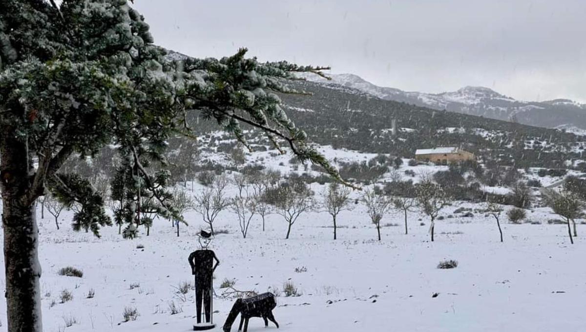 Gran nevada en  Santiago-Pontones (Jaén).