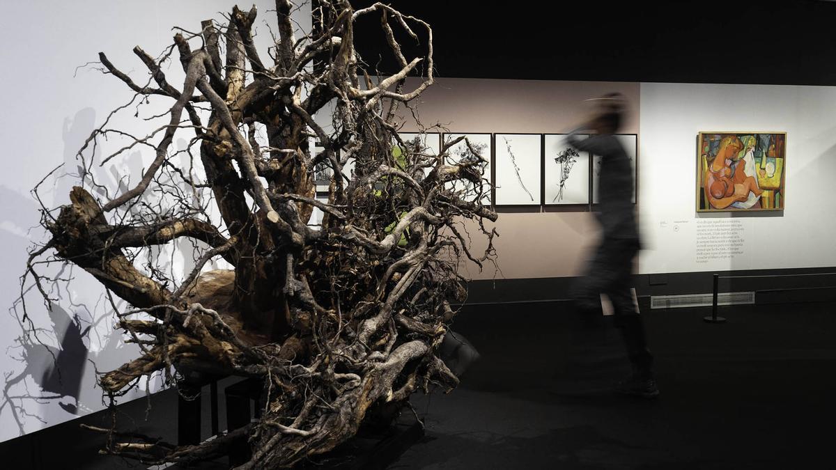 La exposición explora la obra de Rodoreda a través de 400 piezas de otros artistas