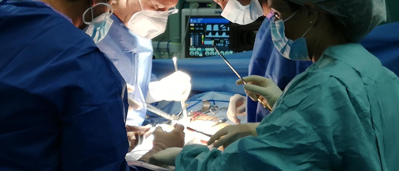La realización de trasplantes renales en el hospital General de Castellón es un objetivo largamente reivindicado