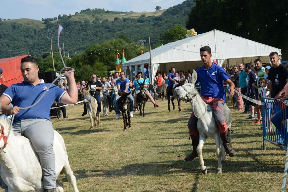 "Burrocross" en las fiestas de San Tirso