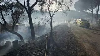 Estabilitzat l'incendi de canyes a Sant Feliu de Guíxols