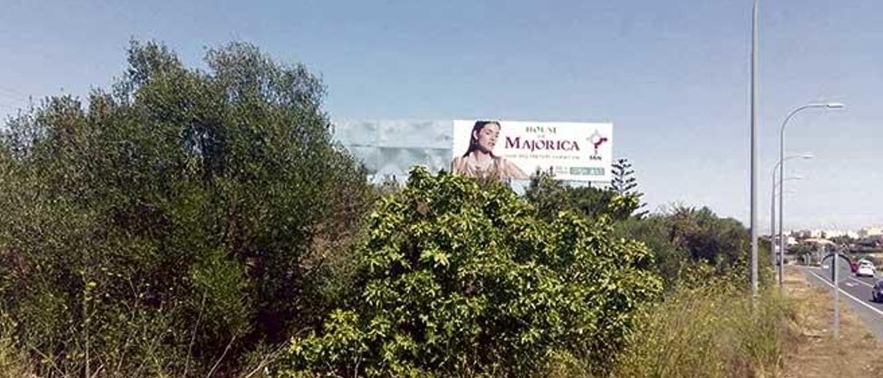 Una de las vallas irregulares colocadas en la rotonda que va a Cala Anguila y Cala Mendia.