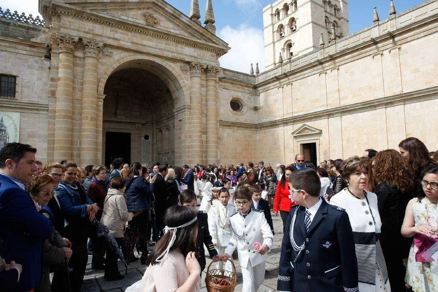 Así ha sido el Corpus 2016 en Zamora