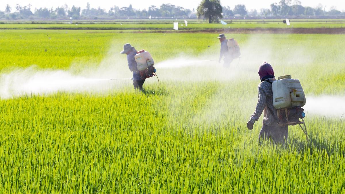 Revés mediambiental: La justícia de Luxemburg torna a autoritzar el polèmic pesticida glifosat