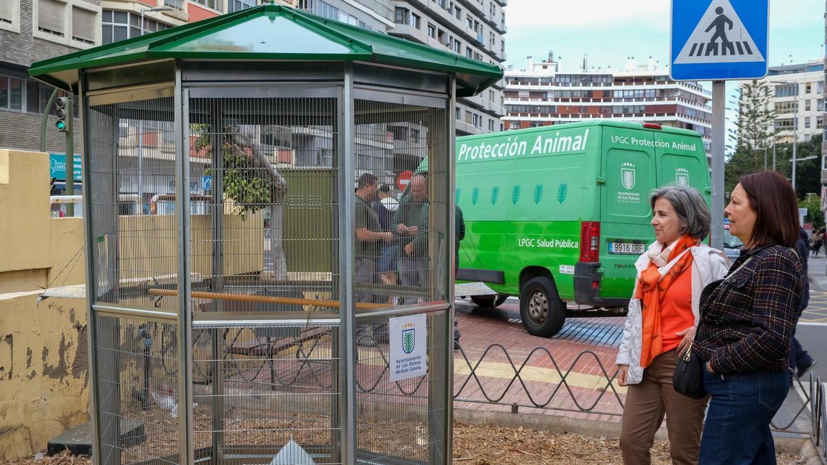 La concejala de Salud Pública y Bienestar Animal ha anunciado la posibilidad de instalar entre 8 y 10 jaulas adicionales.