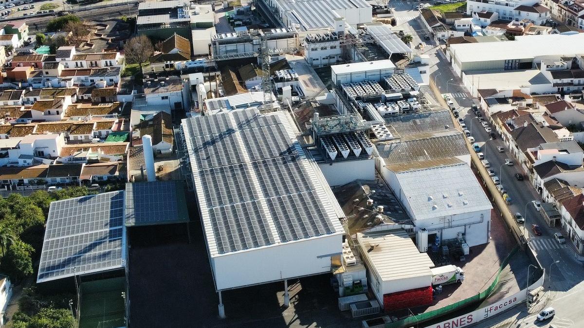 Las instalaciones de Faccsa y Prolongo en Cártama (Málaga).