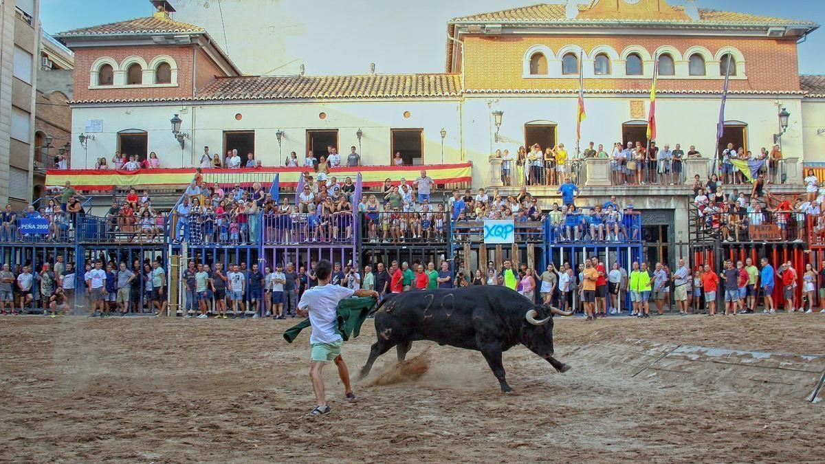 Los actos taurinos acaparan buena parte del protagonismo dentro de la programación de las patronales.