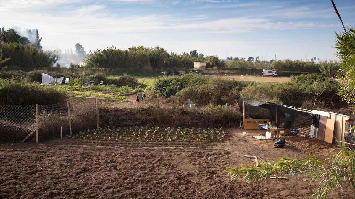 Huerto popular de La Bardissa, en Cornellà