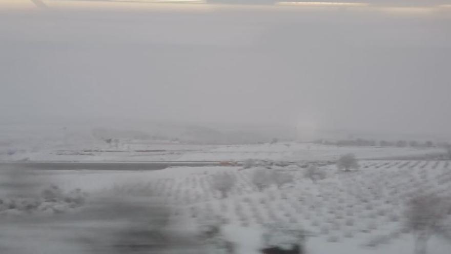 Requena amanece cubierta bajo un mano de nieve