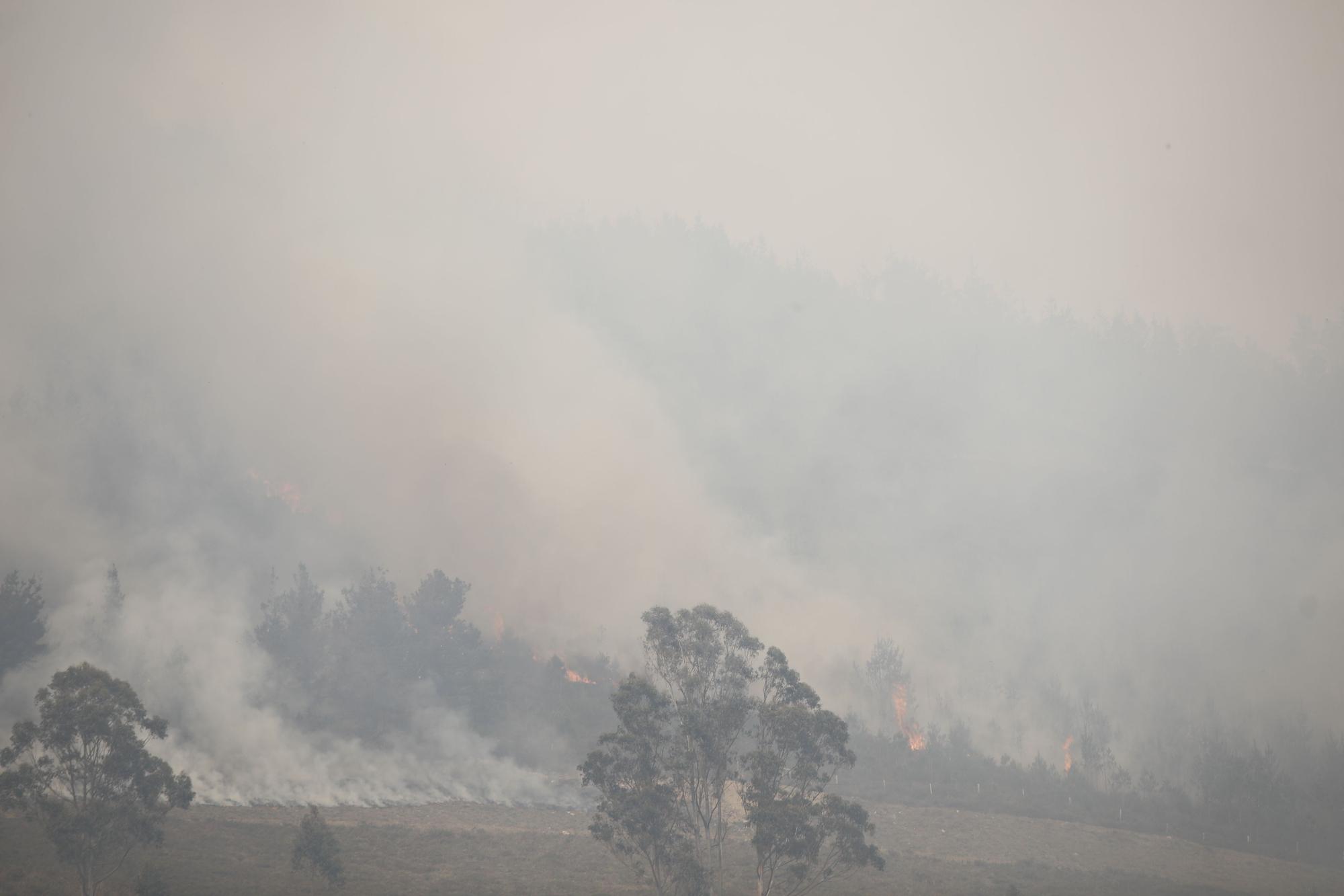 Incendio en la zona de Ques en Piloña