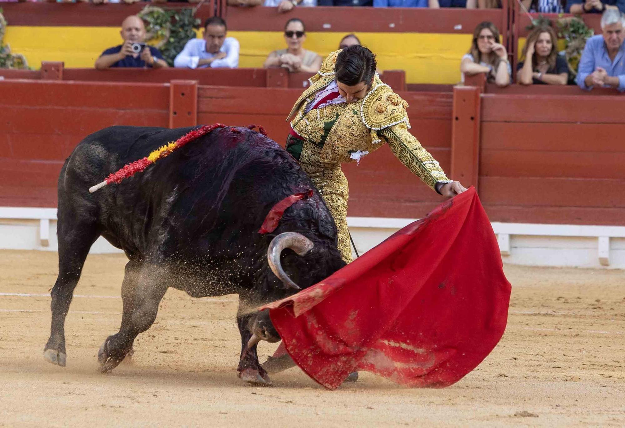 Manzanares culmina una de sus mejores tardes y sale a hombros en la Feria de Hogueras de Alicante 2025