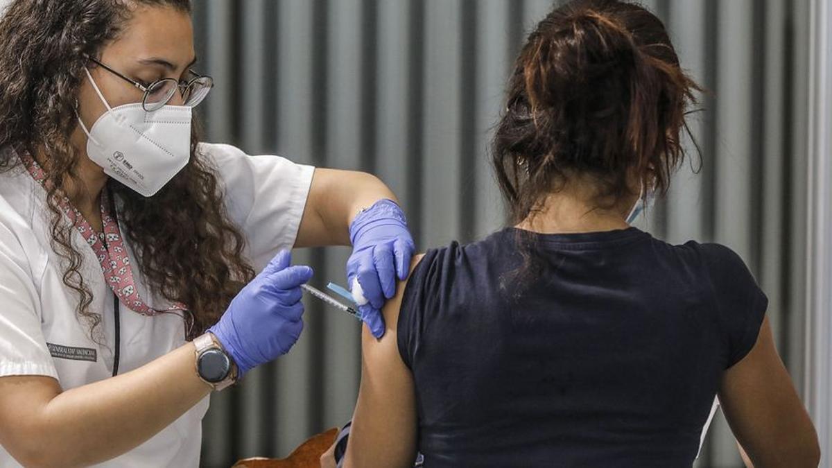 Tous, primer municipio en pedir la vacuna para un empleo público
