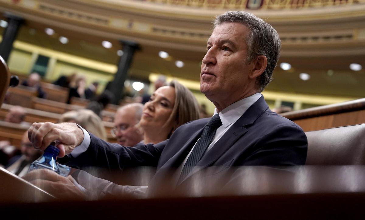 Alberto Núñez Feijóo en la sesión de control al Gobierno en el Congreso.