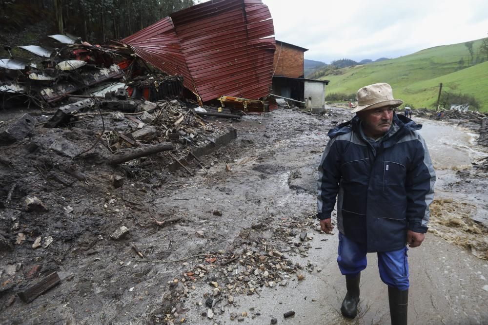 Temporal en Asturias: Un argayo sepulta una ganadería en Salas