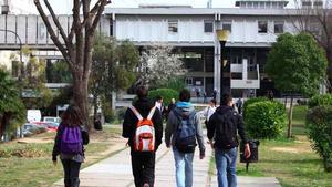 El campus de la UAB en Bellaterra. 