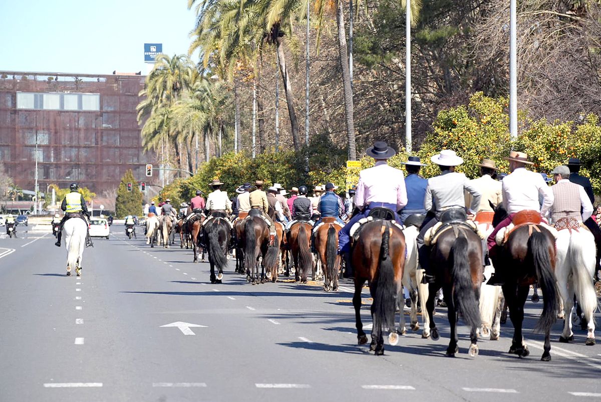 los caballos reinan en Córdoba el 28F