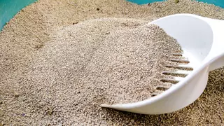 Dos detenidos en Portugal por colar desde Vigo 400 kilos de cocaína mezclada con arena de gato