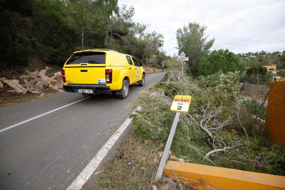 El viento entró por ses Variades y se cebó sobre todo en las zonas de Cala Gració y Can Coix hasta disiparse ya cerca de Santa Agnès