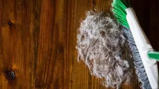 El truc definitiu per evitar que l'escombra s'ompli de pèls i borrissols a l'escombrar
