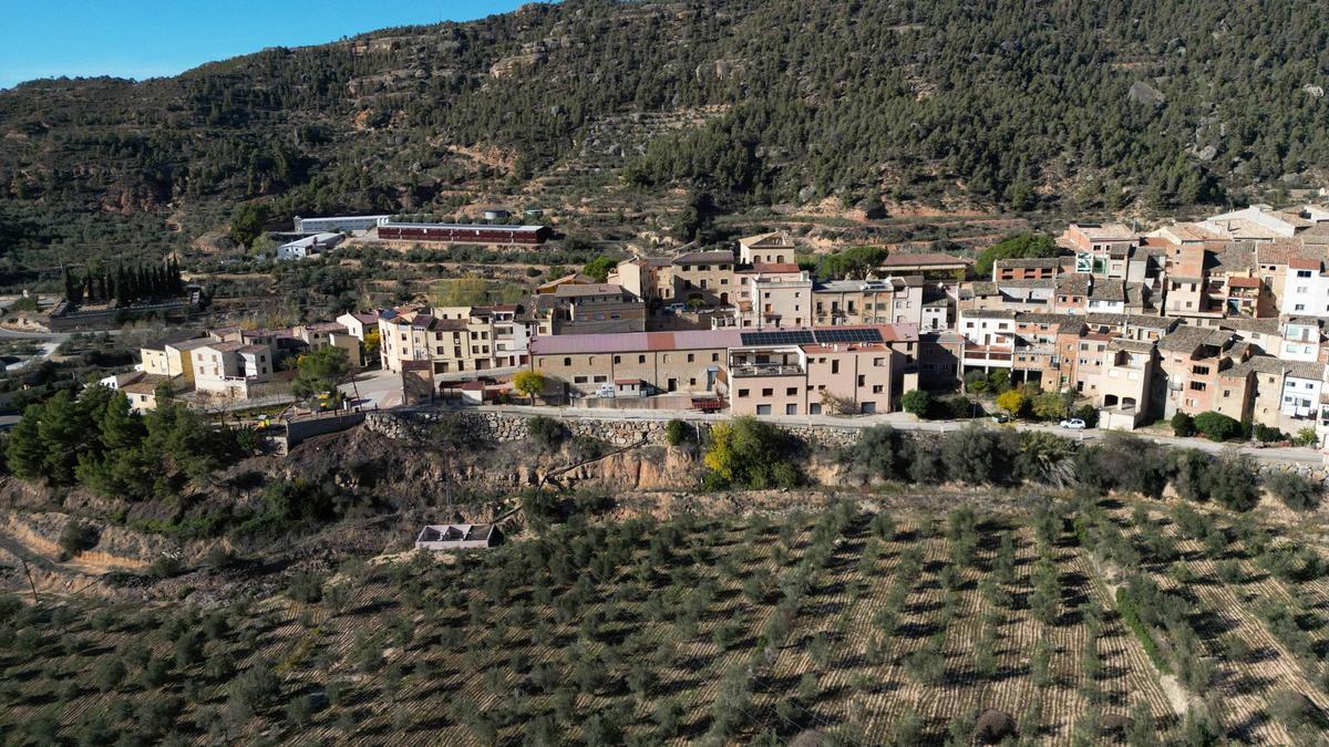 Una plantación de olivos en Cabacés, en Tarragona.