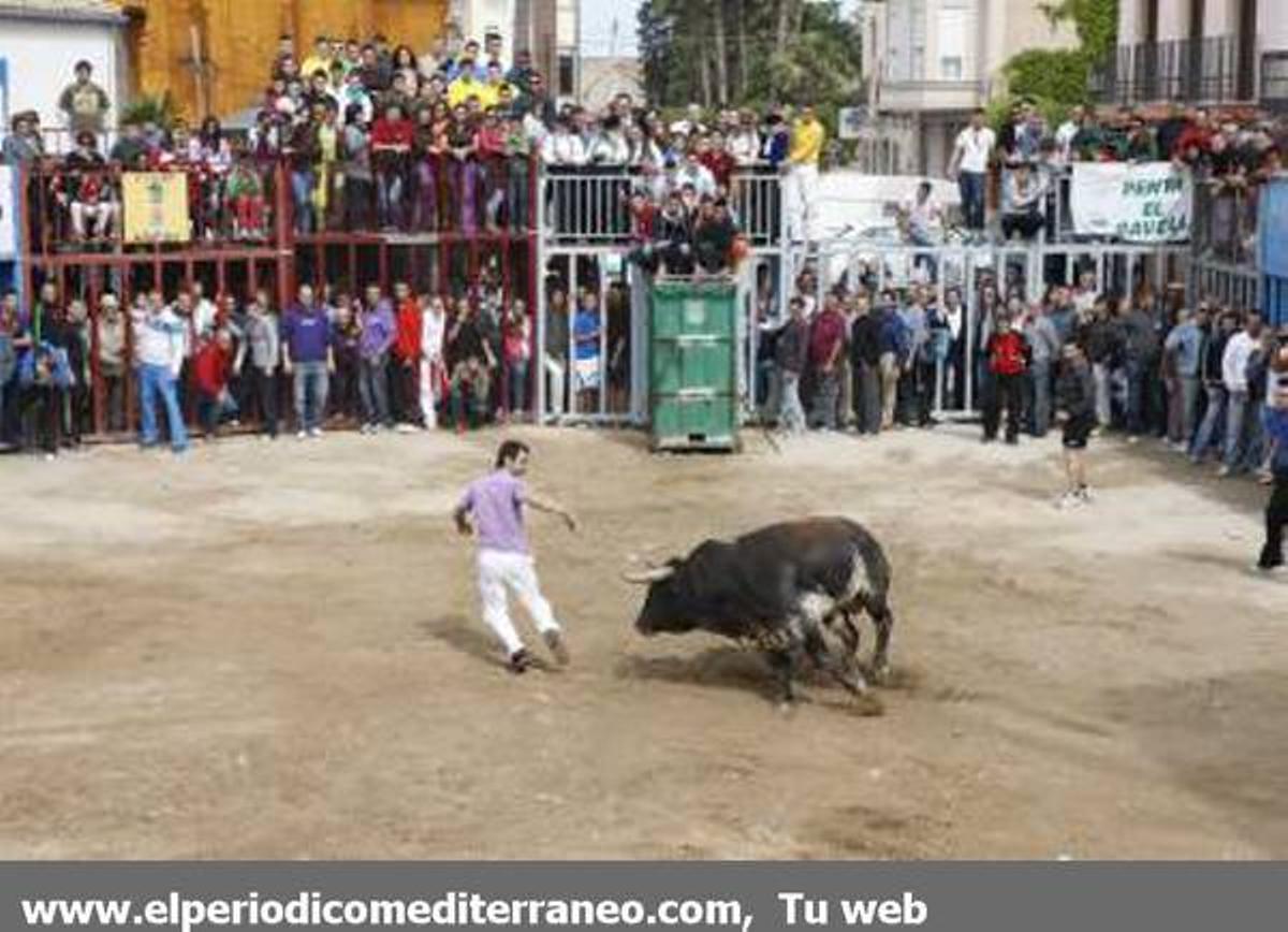 GALERÍA DE FOTOS - Almassora continua con su semana taurina