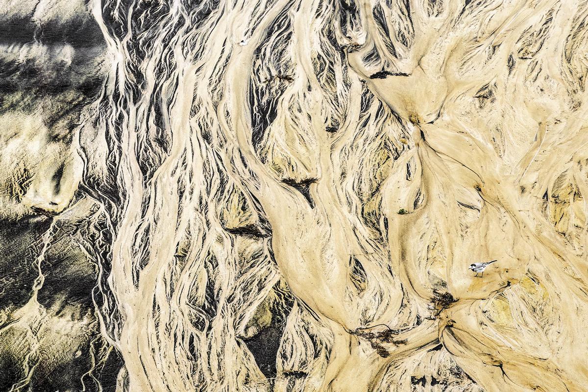 La fotografía ganadora, "Crossroads"