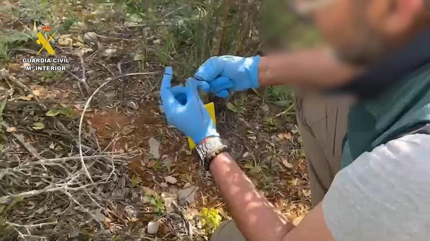 Zorros, jabalíes y muflones: matanza indiscriminada con lazos en un coto de caza de Málaga